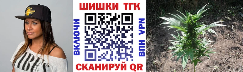 Купить закладку Конопля  Меф мяу мяу  Alpha PVP  Гашиш  КОКАИН  Аткарск