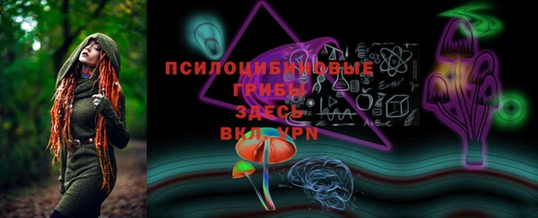 круглые Алзамай