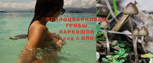 гидропоника Михайловка