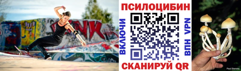 Галлюциногенные грибы Cubensis  Купить где  Аткарск 